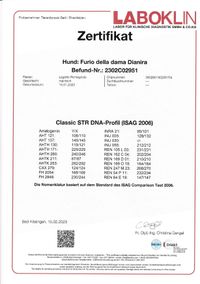 Furio DNA-Profil (ISAG 2006)